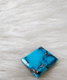 تصویر نگین فیروزه شجر 