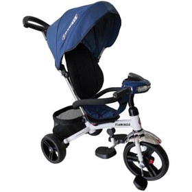 تصویر سه چرخه فلامینگو مدل T200 