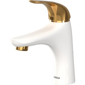 تصویر شیر روشوئی هیرمند کسری 