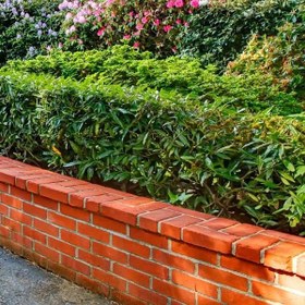 تصویر آجر دور باغچه 