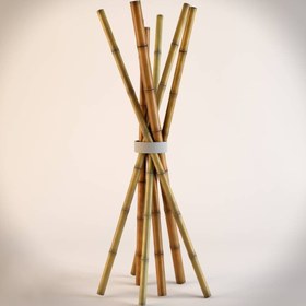 تصویر چوب بامبو 