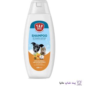 تصویر شامپو توله سگ و گربه با عطر گل همیشه بهار تاف t.a.f puppies and cat shampoo 