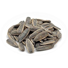 تصویر تخمه دورسفید اعلا 