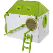 تصویر لانه جاوا سقف شیرونی - ابی 