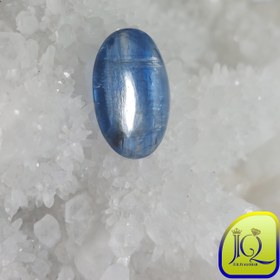 تصویر نگین کیانیت 