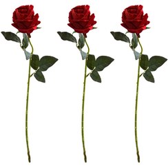 تصویر گل مصنوعی مدل شاخه گل رز کد 50Cm بسته 3 عددی 