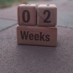 تصویر گاهشمار چوب راش سه تکه با حروف حکاکی شده 