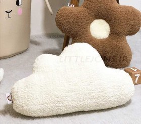 تصویر کوسن ابر تدی 