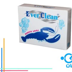 تصویر صابون خرچنگ (کتیتن) ever clean 