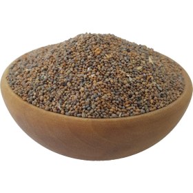 تصویر کیکج (منداب) 