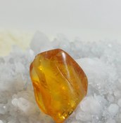 تصویر کهربا راف 