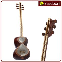 تصویر تار حرفه ای دو مهر هیربد وش 