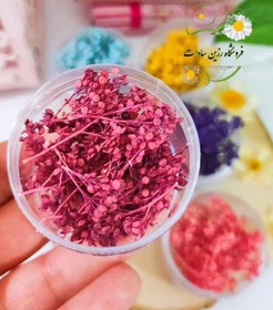 تصویر گل خشک ریز رنگی - قرمز 