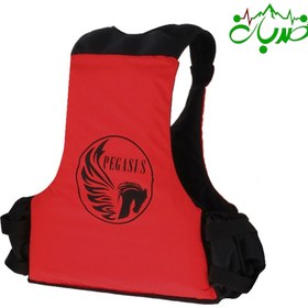 تصویر جلیقه نجات درهنوردی و رفتینگ و شنا (لایف جاکت) برند پگاسوس PEGASUS - تسمه پا PERSONAL PFD PEGASUS LIFE JACKET