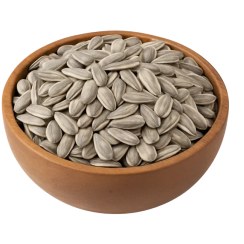 تصویر تخمه آفتاب گردان 