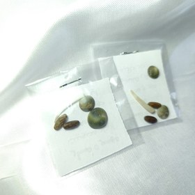 تصویر مهره مار اصل 