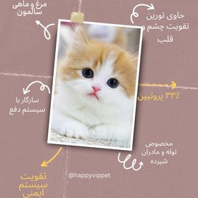 تصویر غذای خشک بچه گربه طعم سالمون و مرغ مونلو (Monello Cat Kitten Dry Food) وزن 15 کیلوگرم 