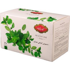 تصویر دمنوش کیسه ای نعناع گلستان بسته 20 عددی ا Golestan mint bag tea package, 20 pieces Golestan mint bag tea package, 20 pieces