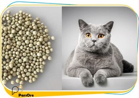 تصویر خاک گربه بنتونیت گرانول شده Cat Litter 