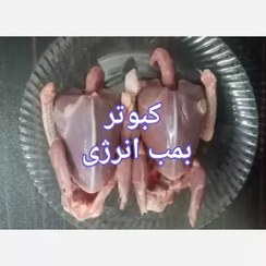 تصویر گوشت بلدرچین ذبح شده 