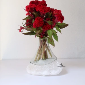 تصویر فروشگاه پاراکا