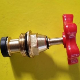 تصویر بالاتنه شیر فلکه 20 salam