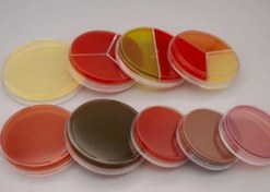 تصویر محیط کشت آماده ای ام بی پلیت ۱۰ سانتی چهار خانه دارواش 