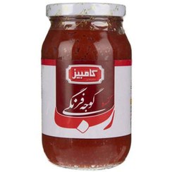 تصویر کنسرو رب گوجه فرنگی شیشه کامبیز 500 گرم 