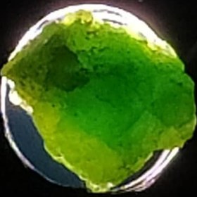 تصویر راف جواهری دمانتوئید k953 