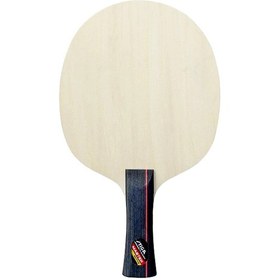 تصویر استیگا مستر اکتیو 