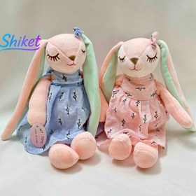 تصویر خرگوش آنجل 