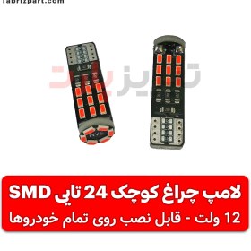 تصویر لامپ SMD سکن 24 تایی (چراغ کوچک جلو) 