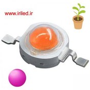 تصویر پاور ال ای دی فول اسپکتروم رشد گياه 45 میل Epiled 1W-3W با رنگ نور صورتی 