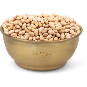 تصویر سویا آجیلی 