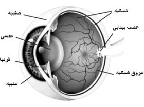 تصویر پاورپوینت فیزیک چشم و بینایی (فیزیک پزشکی چشم) 