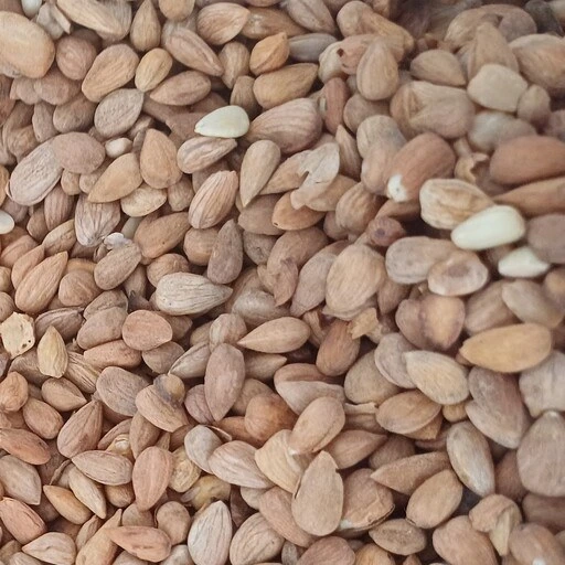 خرید و قیمت مغز بادام کوهی شیرین بو داده و کم نمک 1000گرمی( مغز الوک ...