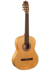 تصویر گیتار کلاسیک پارسی مدل P40f 