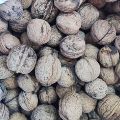 تصویر گردو بوانات مغز سفید و قهوه ای مخلوط پرچرب ( 900 گرم ) 