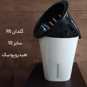 تصویر گلدان هیدروپونیک سایز ۱۸ 