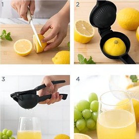 تصویر آبلیمو گیر دستی استیل ضد زنگ 