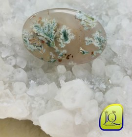 تصویر نگین شجر بهاری 