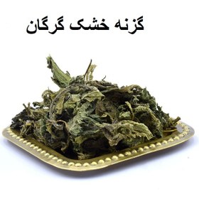 تصویر گزنه خشک گرگان (تمیز و سبز) 
