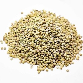 تصویر تخم گشنیز - وزن: 50 گرم 