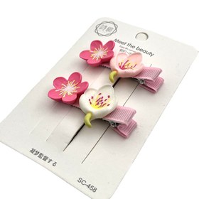 تصویر گیره انبری دوتایی ۲ گل 