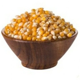 تصویر ذرت پاپ کورن کیفیت عالی 