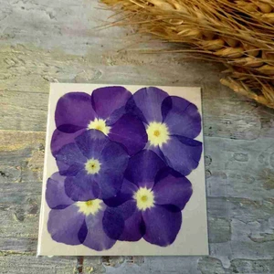 تصویر فروشگاه کافه رزین