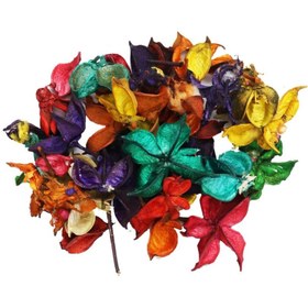 تصویر گل خشک سلفونی 