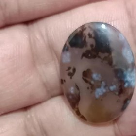 تصویر نگین شجر قائن مصور و معدنی agate