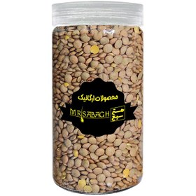 تصویر عدس ممتاز مسترسبغ 