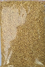 تصویر گندم حلیم درجه یک ۵۰۰ گرم 